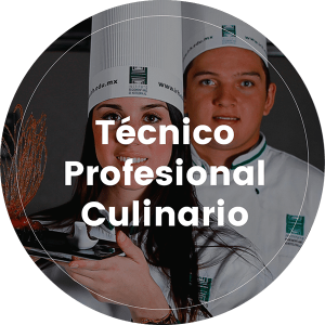 Técnico Profesional Culinario